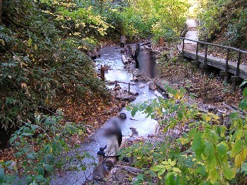 c0062106_04237.jpg