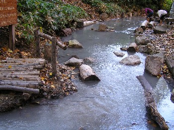 c0062106_04398.jpg