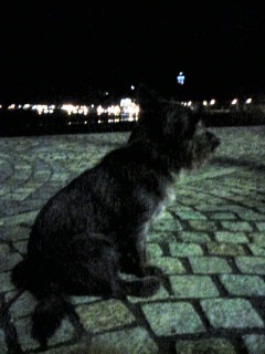 e0078510_16312.jpg