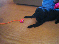 c0012120_1481914.jpg