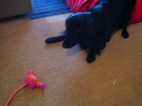 c0012120_1484733.jpg