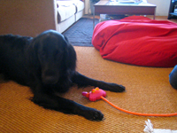 c0012120_1512938.jpg