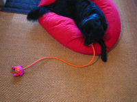 c0012120_152995.jpg