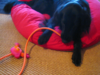 c0012120_157866.jpg