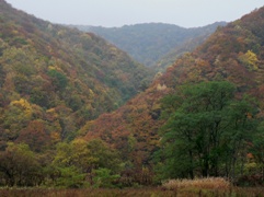 e0054231_20315398.jpg
