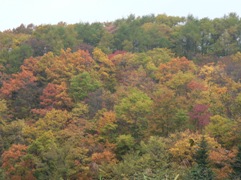 e0054231_2032093.jpg