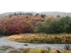 e0054231_2032621.jpg