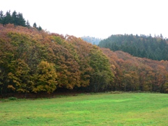 e0054231_2034114.jpg