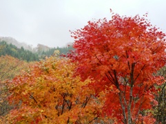 e0054231_20351368.jpg