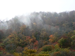 e0054231_20352947.jpg