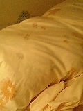 e0044433_031574.jpg