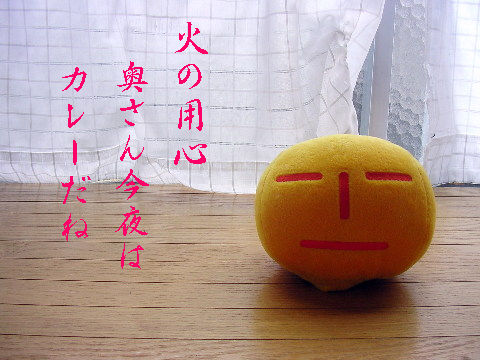 c0065643_14403853.jpg