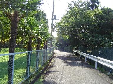 e0053365_1383352.jpg