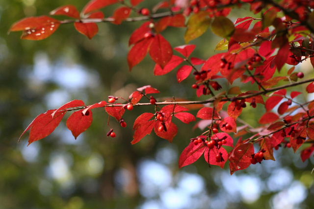 b0055171_23295489.jpg