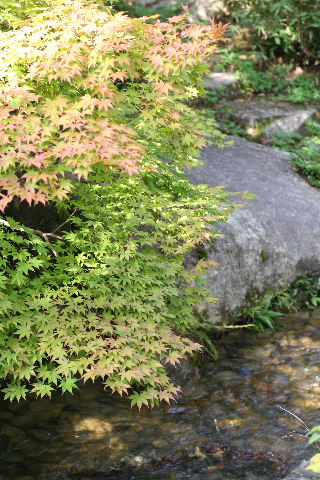 b0055171_23324084.jpg