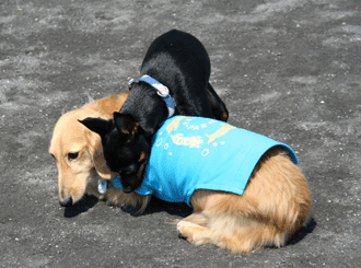 c0012571_19253850.gif