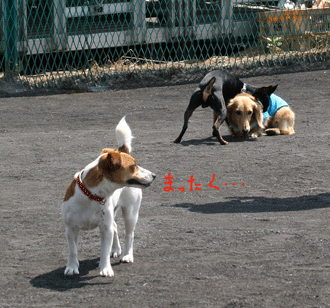 c0012571_19261393.gif