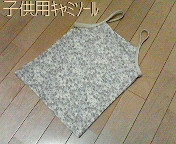 a0049202_1755148.jpg