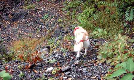 e0001110_4361057.jpg