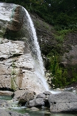 a0036412_331254.jpg