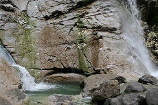 a0036412_331357.jpg