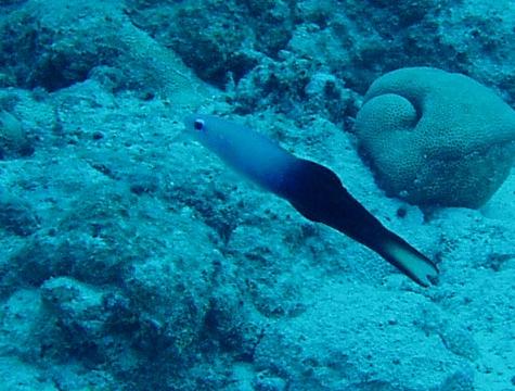 a0000014_20324289.jpg