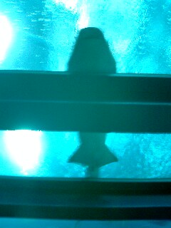 e0072215_2245344.jpg