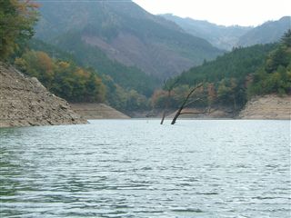 e0002820_20314849.jpg