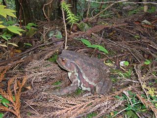 e0002820_20383381.jpg