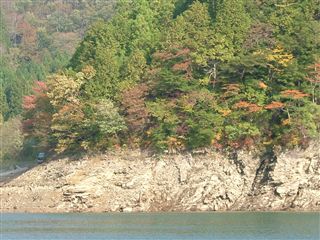 e0002820_20441795.jpg
