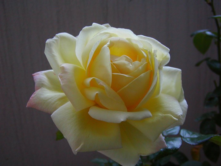 a0055024_2222272.jpg