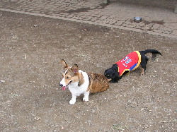 e0071225_1214799.jpg