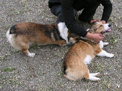 e0071225_1225395.jpg