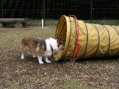 e0071225_1231973.jpg