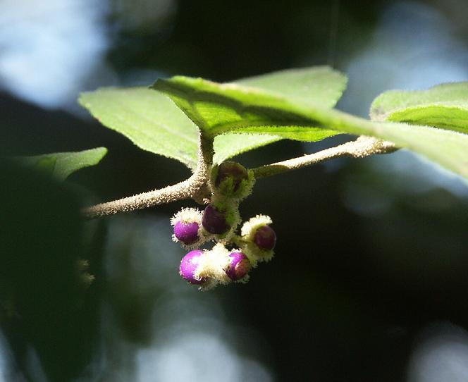 b0039226_13493254.jpg
