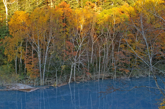 e0025030_8135031.jpg