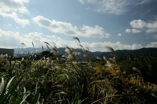 d0032931_2032034.jpg