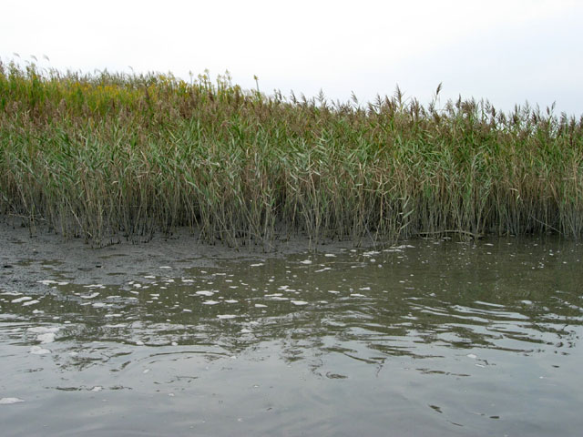 d0041331_17104462.jpg
