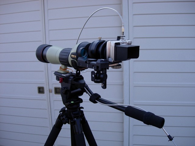 a0026235_2322439.jpg
