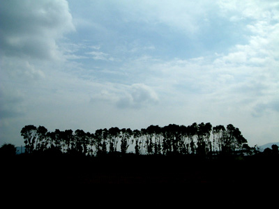 b0013735_22405982.jpg
