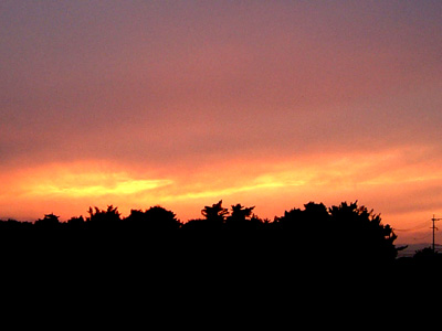 b0013735_22422693.jpg