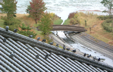 c0069036_1728443.jpg