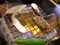 c0069036_17433951.jpg
