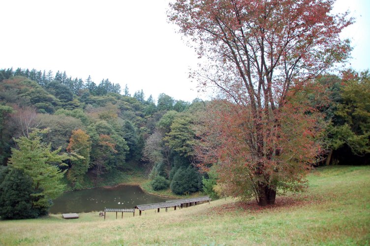 e0009147_2029358.jpg
