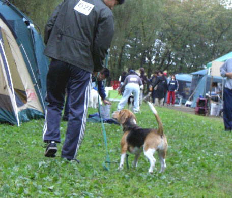 e0007060_1901352.jpg