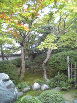e0075662_032479.jpg
