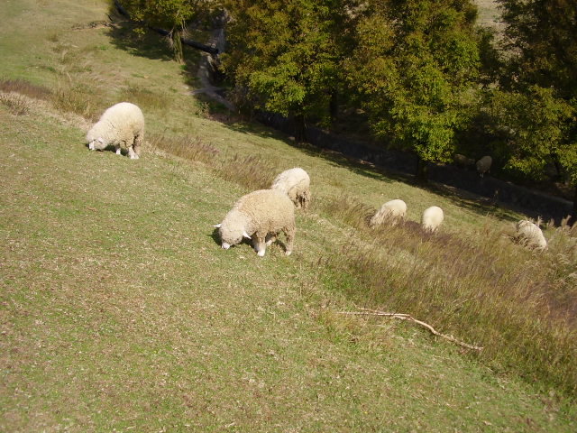 d0001070_2142039.jpg