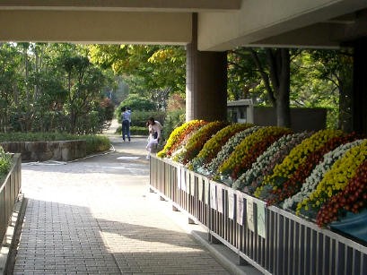 b0002879_17555670.jpg