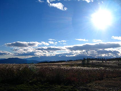 c0004193_1935075.jpg