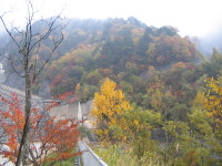 e0049598_9455991.jpg